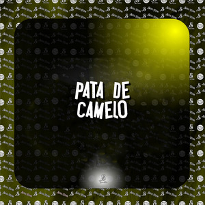 Pata de Camelo