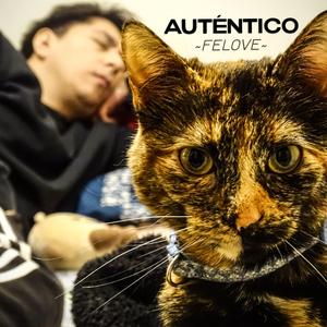 Auténtico