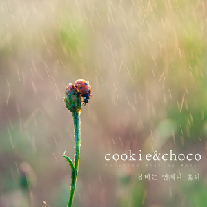 봄비는 언제나 옳다