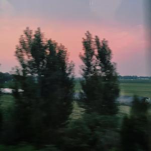 看清（prod.by FRESH_ye)