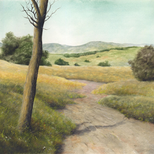 Estrada