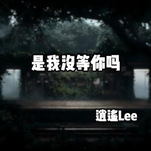 是我没等你吗