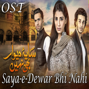 Saya E Dewar Bhi Nahi (From "Saya E Dewar Bhi Nahi")