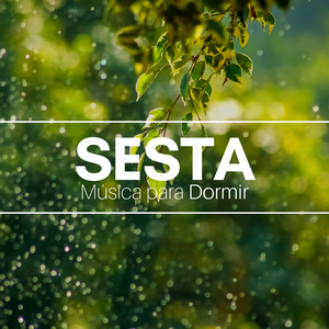 Sesta