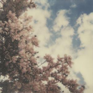 Invisible String Theory