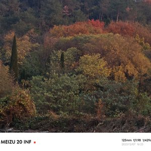 规则边界的危险探戈