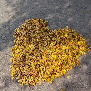 Love Hit（ Demo）