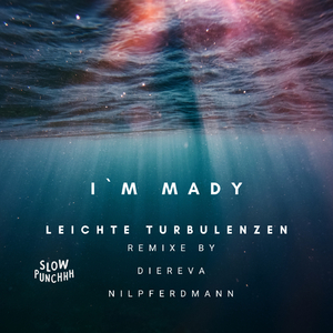Leichte Turbulenzen (Nilpferdmann Remix)