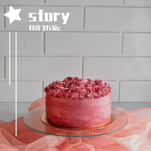 你是我最愚蠢的一次浪漫（翻自 房东的猫）