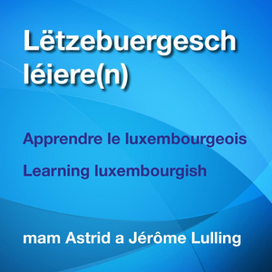 Hu(Nn), Si(Nn), De Mobilen -N (Avoir, Être / To Have, To Be)