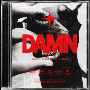 DAMN (feat. Karan Anttal & Ritik)