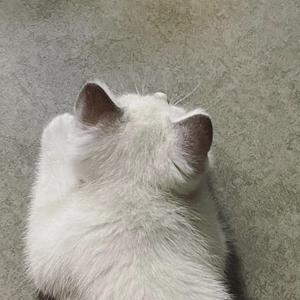 我在