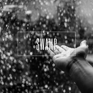 Swamp