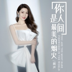 你是人间最美的烟火 (DJ默涵版)