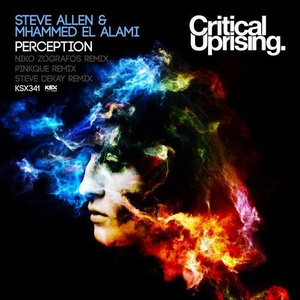 Perception (Pinkque Remix Remix)
