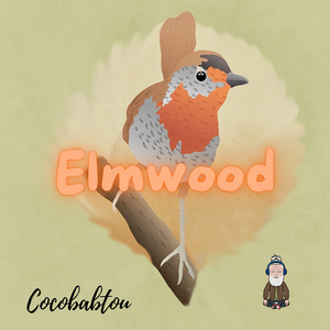 Elmwood