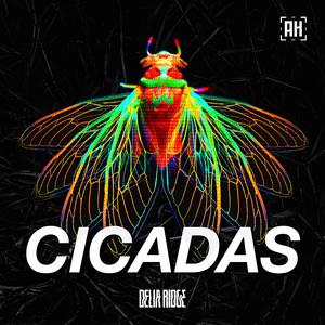 Cicadas
