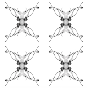 Bottled (The Very Last Northern White Rhino)