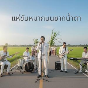 แห่ขันหมากบนซากน้ำตา