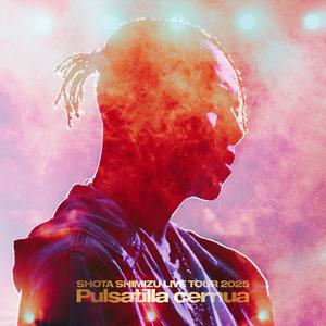 恋唄 - SHOTA SHIMIZU LIVE TOUR 2025 'Pulsatilla cernua'