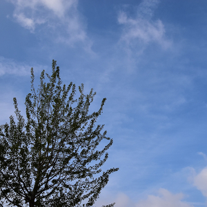 Lyon, October 20, 2015