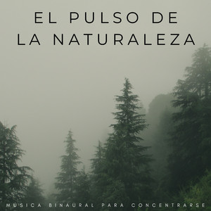 Alineación Del Pulso De La Naturaleza