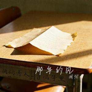 那年的风