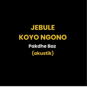 Jebule Koyo Ngono (Akustik)