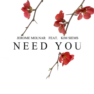 Need You feat. Kim Siems (Original Mix)