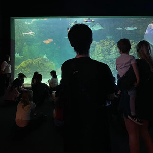 过个锤子情人节（承泽remix）