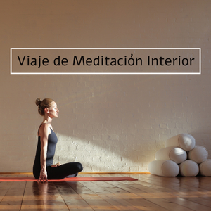 Viaje de Meditación