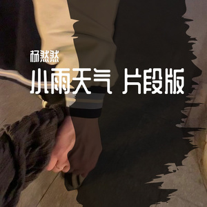 小雨天气 片段版‘