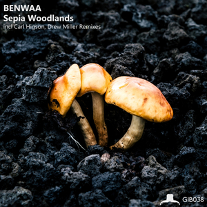 Sepia Woodlands (Original Mix)