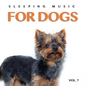 Sleeping Music for Dogs and Cats