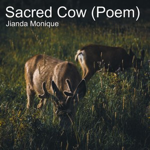 Sacred Cow (Poem)