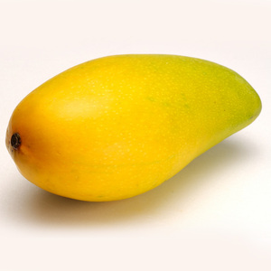 达拉崩吧（芒果台版）（Cover 洛天依 言和）