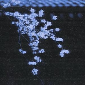 与你共拜佛前堂