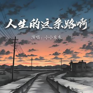 人生的这条路啊