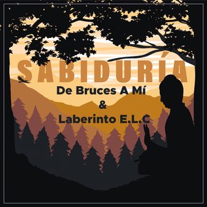 Sabiduría