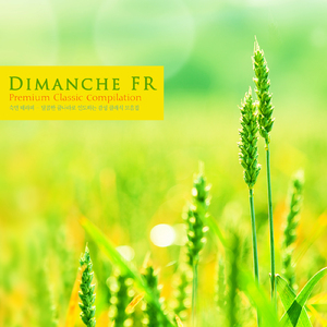 Bach: Brandenbrug Concerto No.5 In D Major BWV.1050 - II. Affettuoso