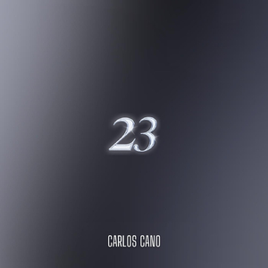 23