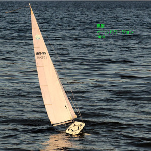 模型 (old version)