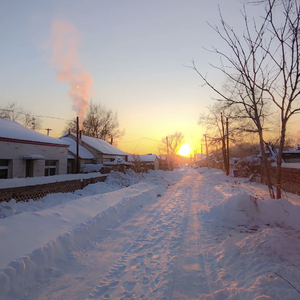 你离开那天东北飘着雪花