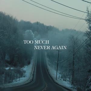 TOO MUCH, NEVER AGAIN