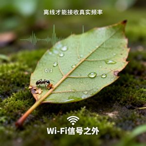 《Wi-Fi信号之外》