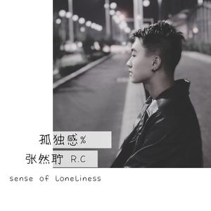 孤独感% sense of loneliness