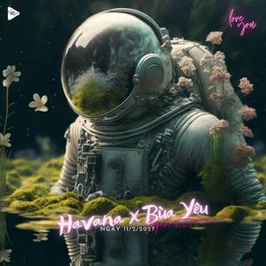 Havana (Japan Remix) (ù u ú ù u ú)