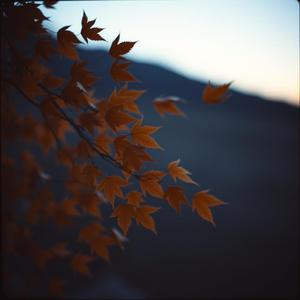 紺色の風をまとって by マオなつ