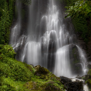Baba Sawan Singh Ji Maharaj 5