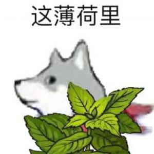 [free]情绪来力' lil peep x JAY2THEKIM⊕재현 type